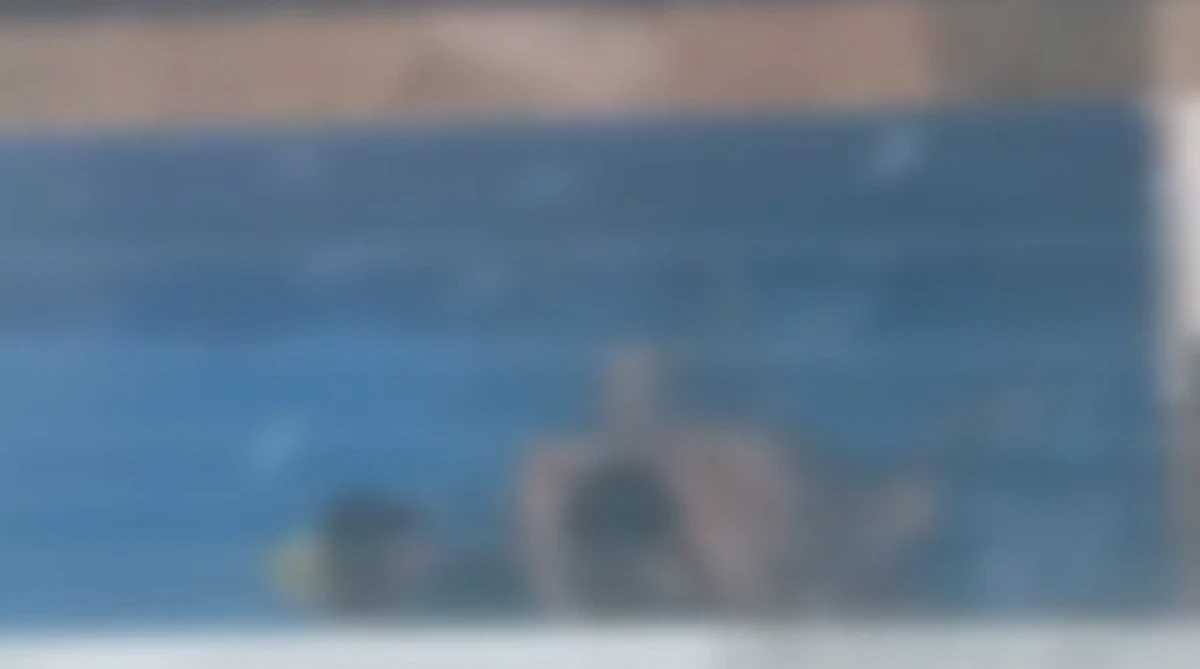 Casal foi flagrado fazendo sexo em piscina com criança por Reprodução