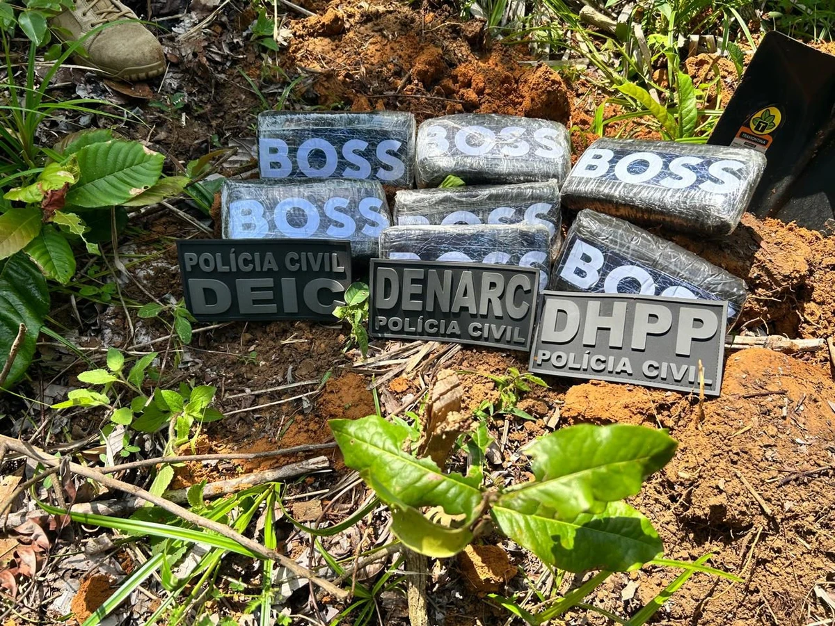 Droga é localizada em área de mata na RMS