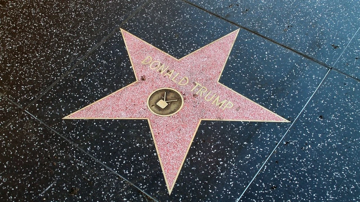 Estrela em Hollywood: Recebeu uma estrela no Passeio da Fama de Hollywood em 2007, devido ao sucesso do programa "The Apprentice" por Reprodução