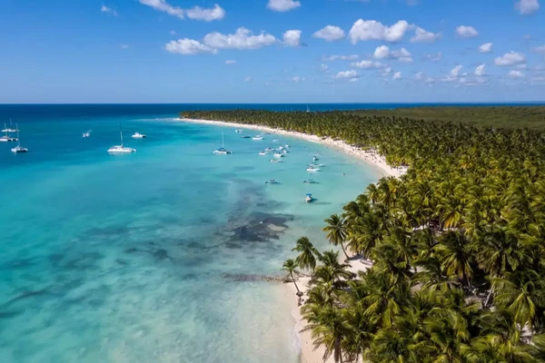 República Dominicana por Reprodução