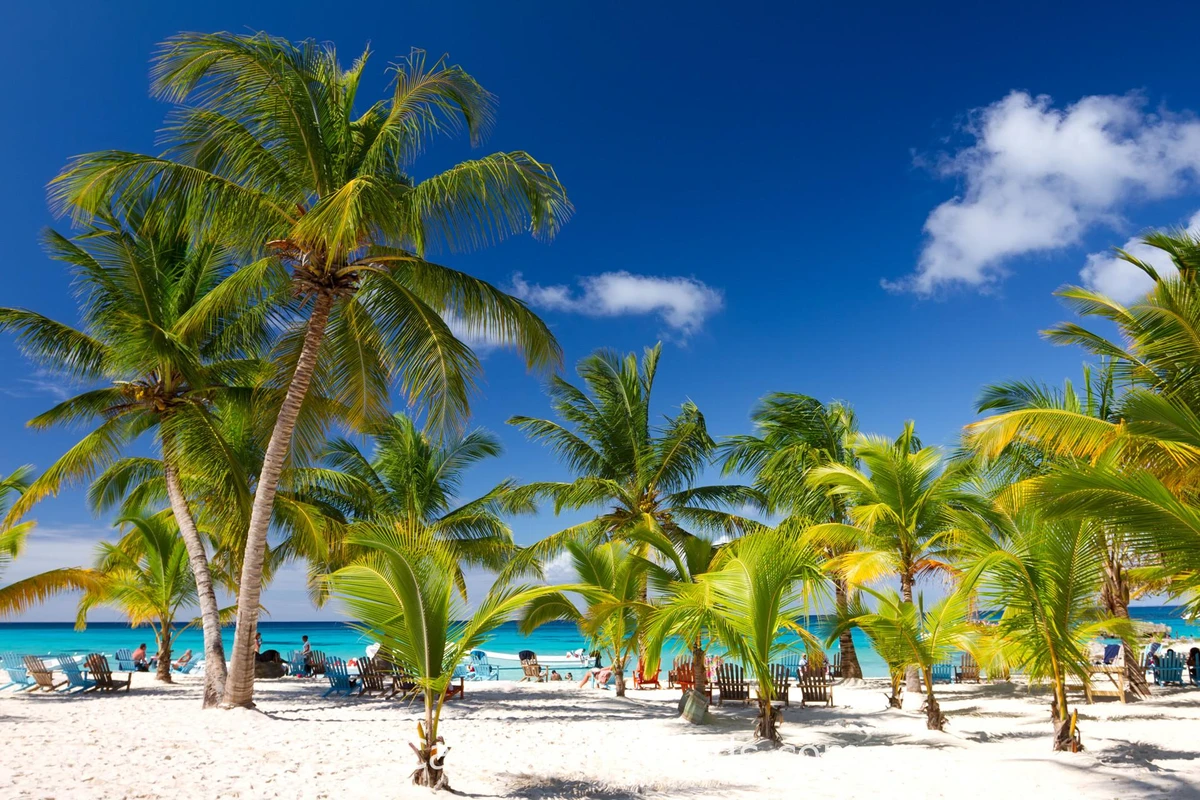 República Dominicana por Reprodução