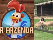 Imagem - 'A Fazenda': destino dos animais do reality é revelado; aluguel chega a meio milhão