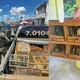 Imagem - Feira livres na Bahia viram centro do tráfico de aves de canto silvestres