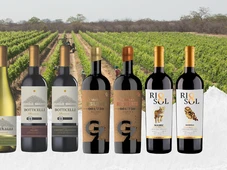 Imagem - 10 vinhos do Vale do São Francisco para degustar na ProWine São Paulo