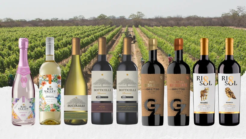 Imagem - 10 vinhos do Vale do São Francisco para degustar na ProWine São Paulo