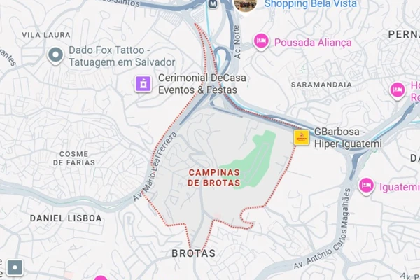 9º lugar: Campinas de Brotas (79 mm) por Google Streetview