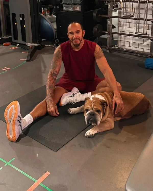 Lewis e Roscoe Hamilton por Reprodução/Instagram