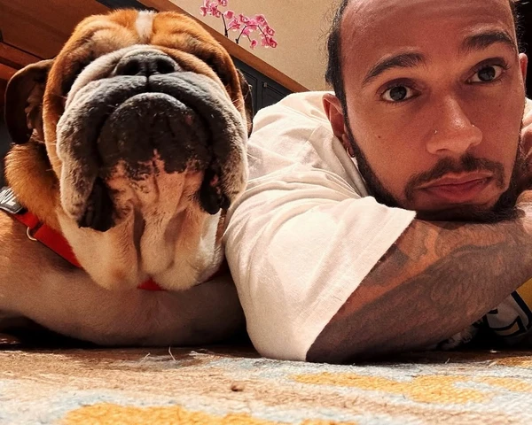 Lewis e Roscoe Hamilton por Reprodução/Instagram