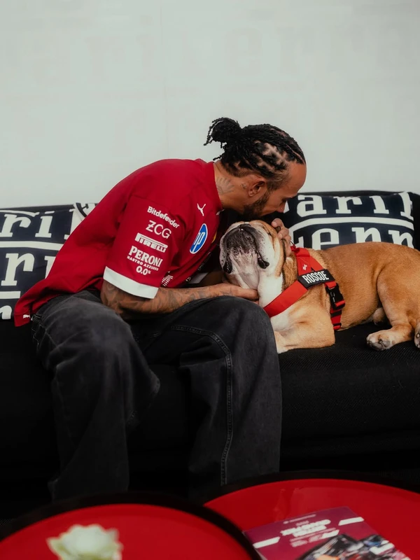 Lewis e Roscoe Hamilton por Reprodução/Instagram