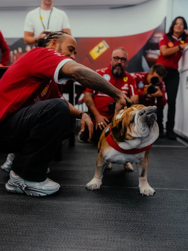 Lewis e Roscoe Hamilton por Reprodução/Instagram