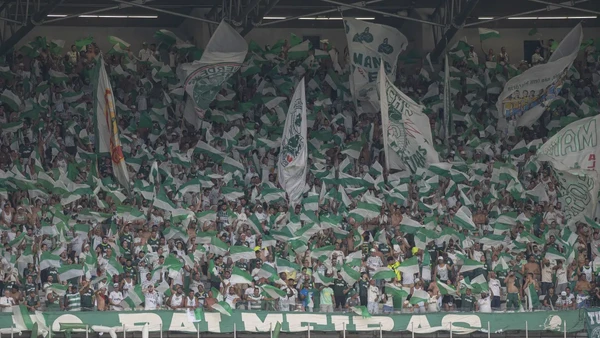 Torcida do Palmeiras por CBF