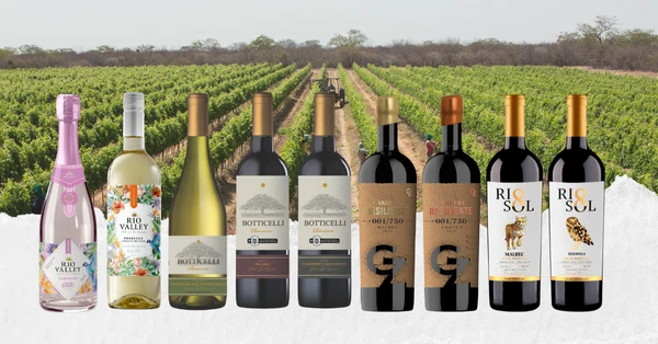 Vinhos do Vale com lançamento na ProWine
