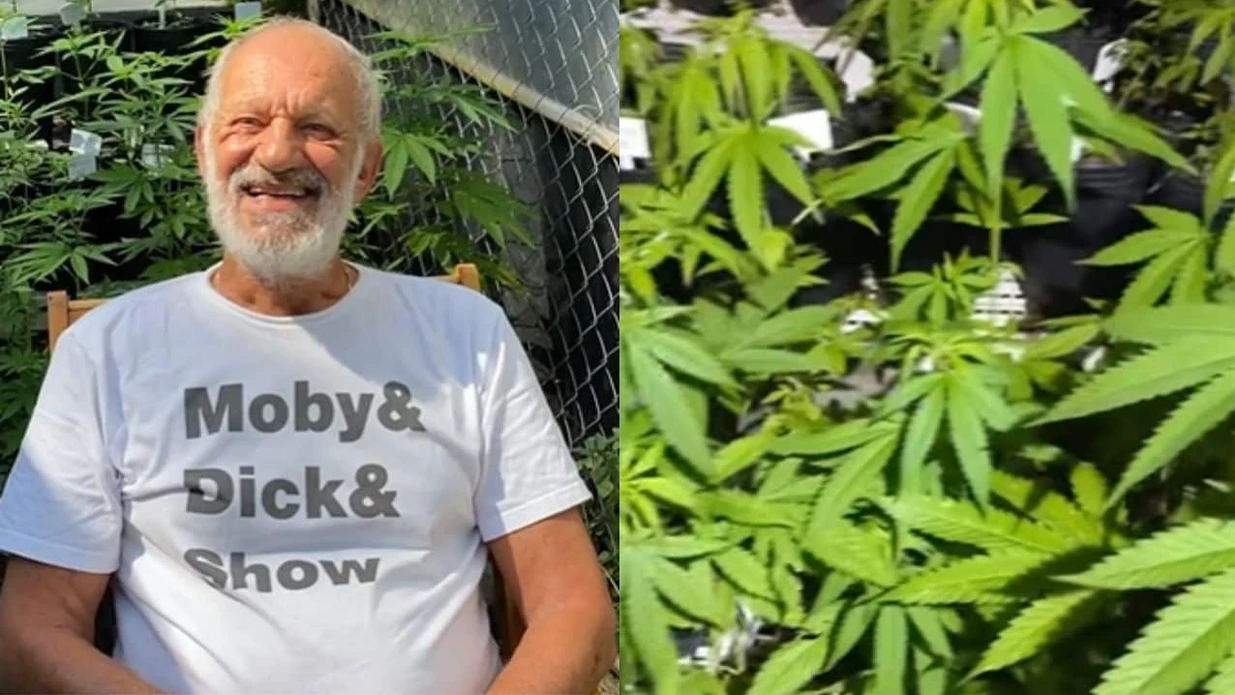 Imagem - Aos 74 anos, ator de novela da Globo cultiva maconha para consumo próprio: ‘Me salvou’