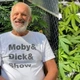 Imagem - Aos 74 anos, ator de novela da Globo cultiva maconha para consumo próprio: ‘Me salvou’