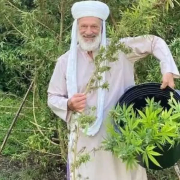 Ator Ricardo Petraglia mostra sua plantação de cannabis no sítio e revela uso medicinal por Reprodução/Instagram