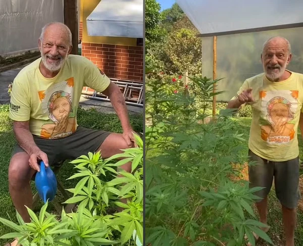 Ator Ricardo Petraglia mostra sua plantação de cannabis no sítio e revela uso medicinal por Reprodução/Instagram