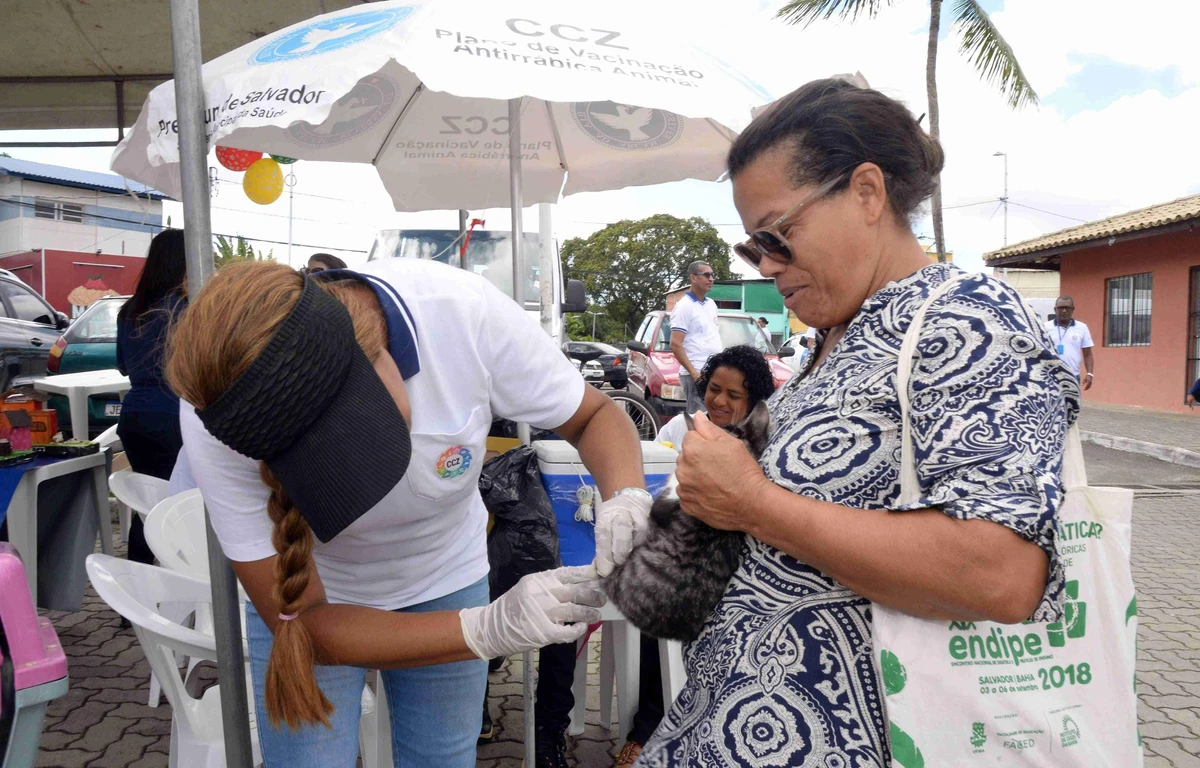 Campanha de vacinação antirrábica em Salvador segue até terça-feira (30)