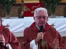 Imagem - Padre critica presença de cachorros durante missa e desabafo divide opiniões: 'Desrespeito à Eucaristia'