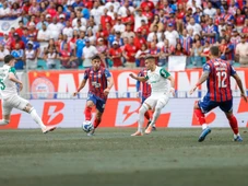 Imagem - Bahia x Palmeiras: veja onde assistir ao vivo, desfalques e escalações