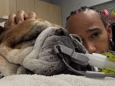 Imagem - Cachorro de Lewis Hamilton morre nos braços do piloto: 'Meu melhor amigo'