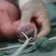 Imagem - Brasil pede desculpas por mortes de 96 bebês em Cabo Frio