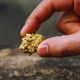 Imagem - Cientistas descobrem fungo que transforma metais em ouro