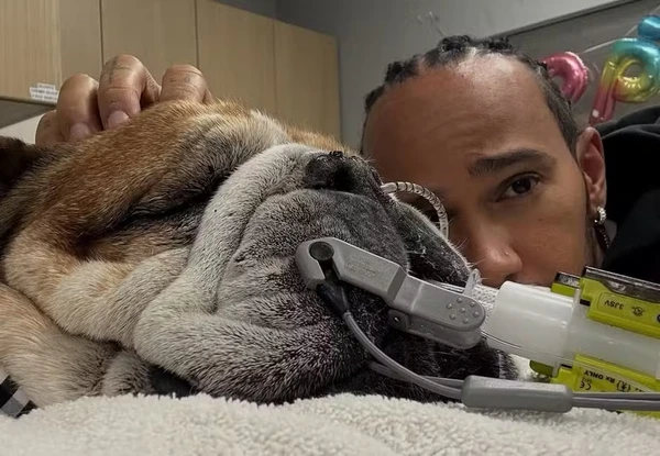 Lewis Hamilton com Roscoe