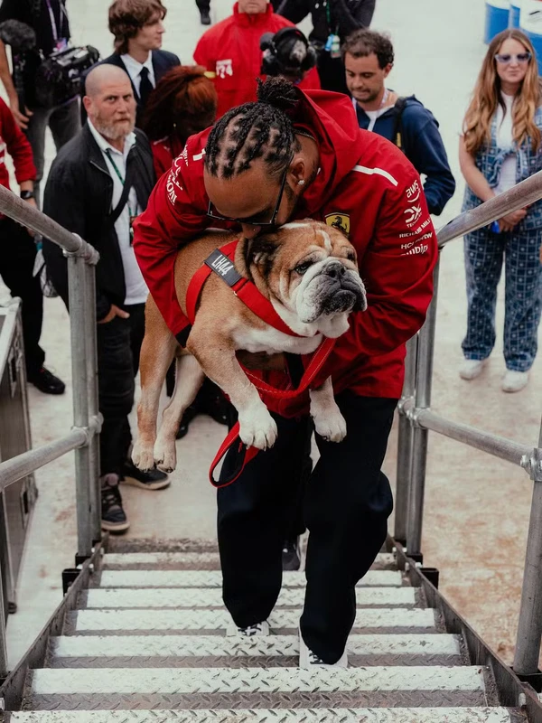 Lewis Hamilton e Roscoe por Reprodução