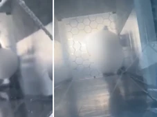 Imagem - Alunos flagrados em vídeo fazendo sexo na faculdade podem ser expulsos?