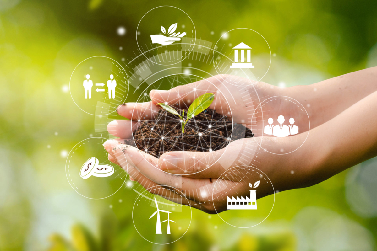 A ecologia é a ciência que estuda as relações entre os seres vivos e o ambiente em que vivem (Imagem: dee karen | Shutterstock)
