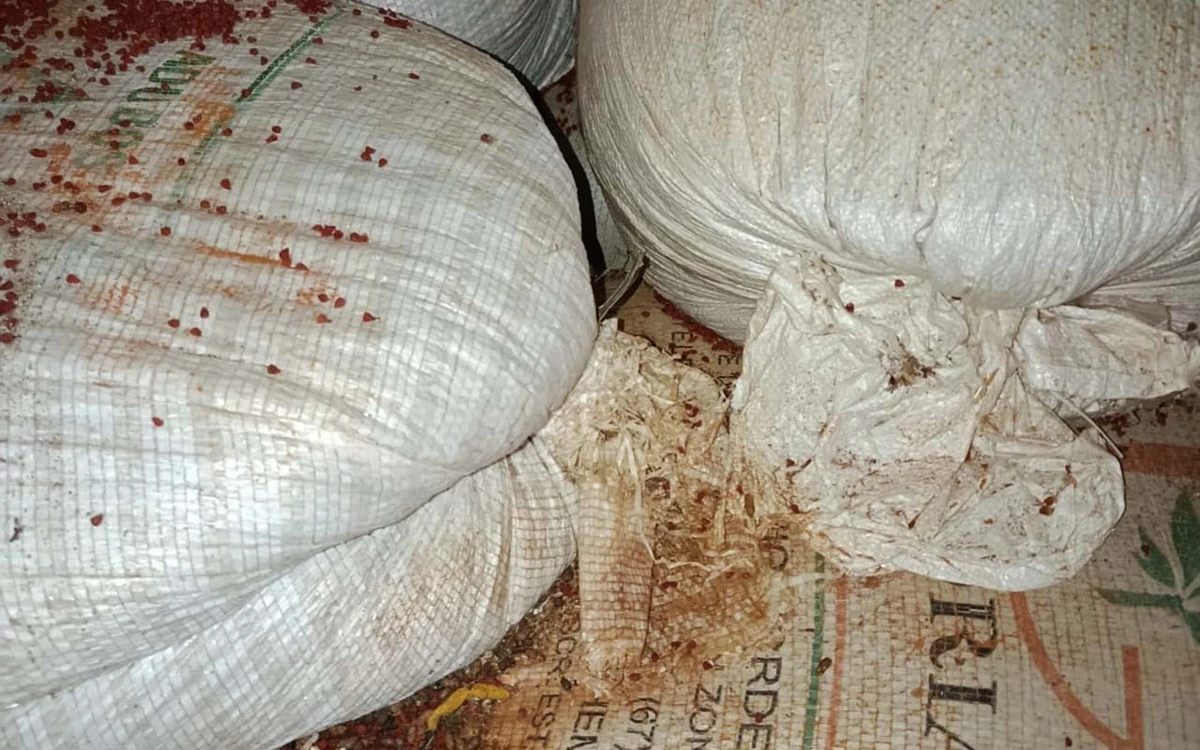 Fábricas clandestinas foram interditadas em Vitória da Conquista