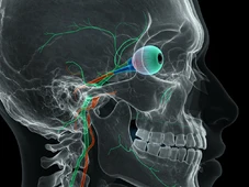 Imagem - Por que as pessoas ficam cegas quando bebem metanol?