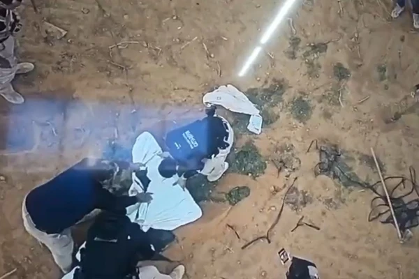 Droga foi encontrada em Ibipeba por Reprodução/Polícia Civil