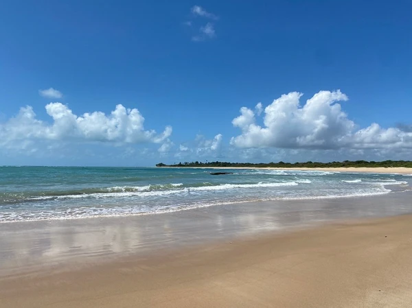 Praia de Itapororoca por Reprodução