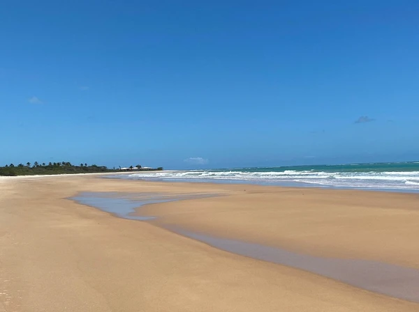 Praia de Itapororoca por Reprodução