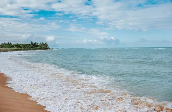 Praia de Itapororoca por Reprodução