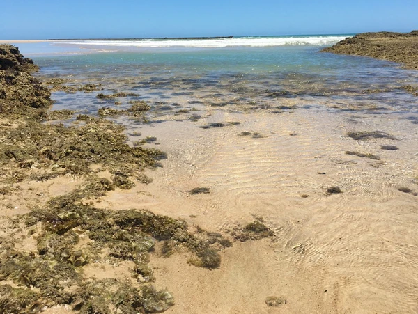 Praia de Itapororoca por Reprodução