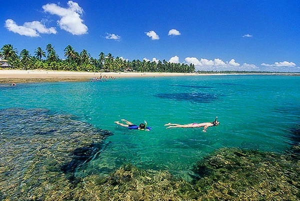Praia de Taipu de Fora por Reprodução