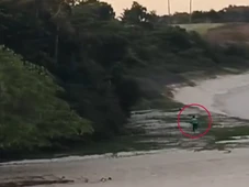 Imagem - Indígena é baleado na cabeça após invasão de homens armados em aldeia na Bahia