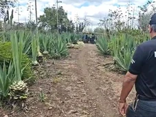 Imagem - Polícia prende homem de 48 anos suspeito de estuprar a própria filha adolescente