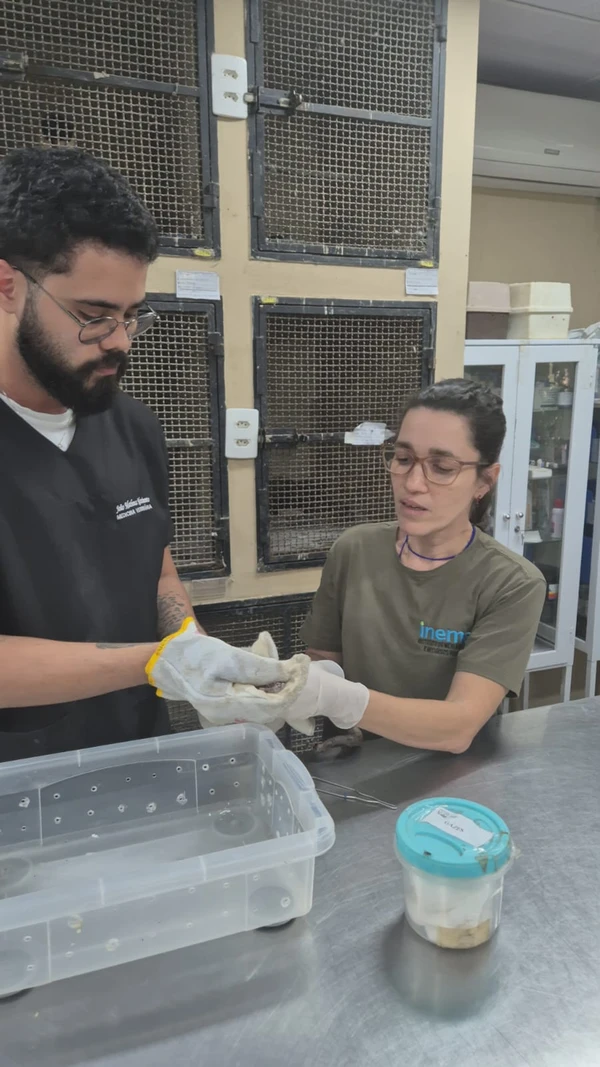 Centro de Triagem de Animais Silvestres (CETAS) por Moysés Suzart