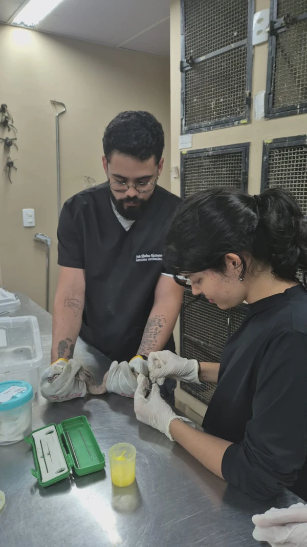 Centro de Triagem de Animais Silvestres (CETAS) por Moysés Suzart