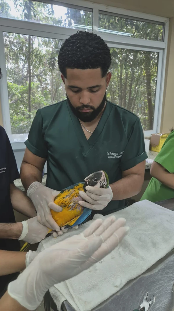 Centro de Triagem de Animais Silvestres (CETAS) por Moysés Suzart