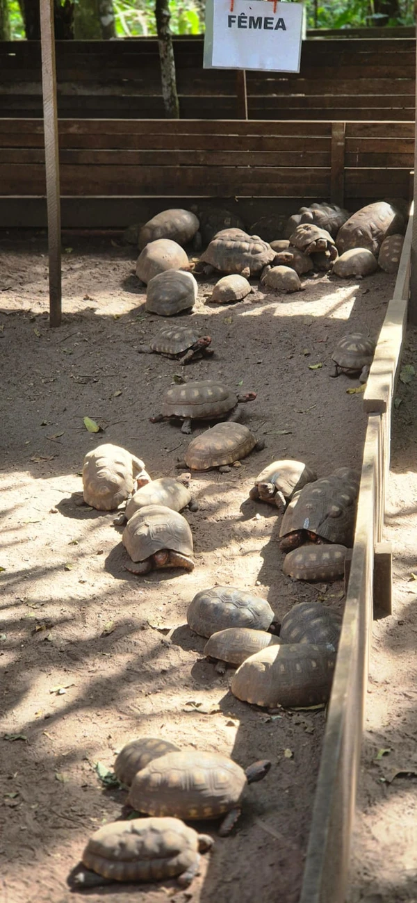 Centro de Triagem de Animais Silvestres (CETAS) por Moysés Suzart