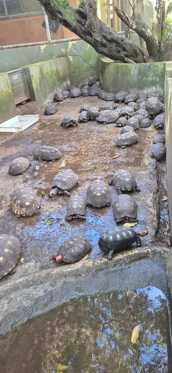 Centro de Triagem de Animais Silvestres (CETAS) por Moysés Suzart