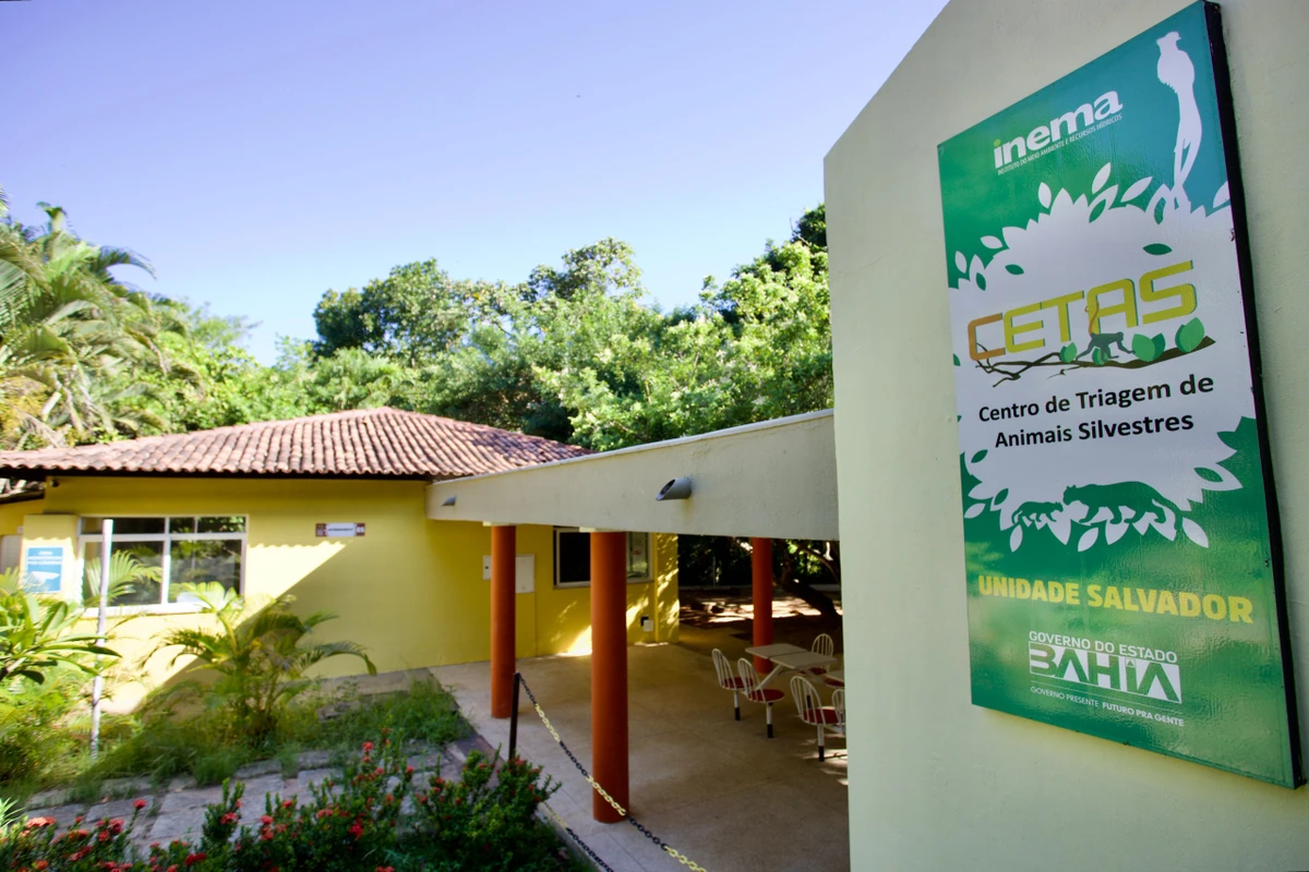 Centro de Triagem de Animais Silvestres (CETAS) por Mathues Lemos/Ascom Inema