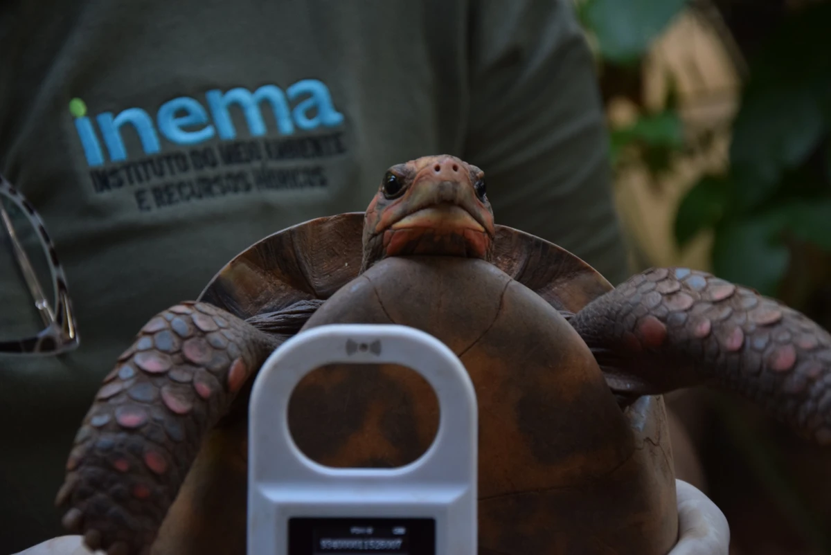 Centro de Triagem de Animais Silvestres (CETAS) por Mathues Lemos/Ascom Inema