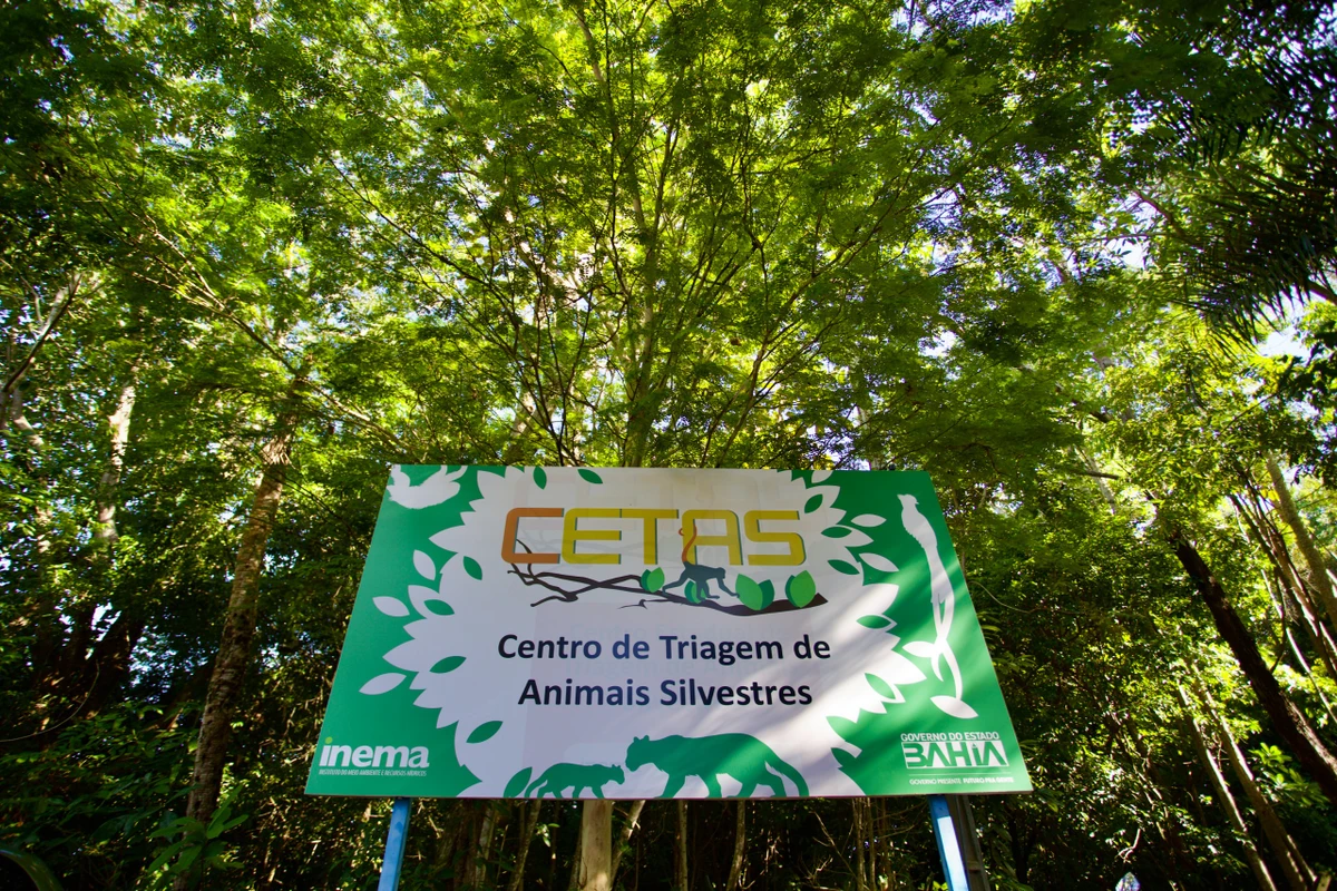 Centro de Triagem de Animais Silvestres (CETAS) por Mathues Lemos/Ascom Inema