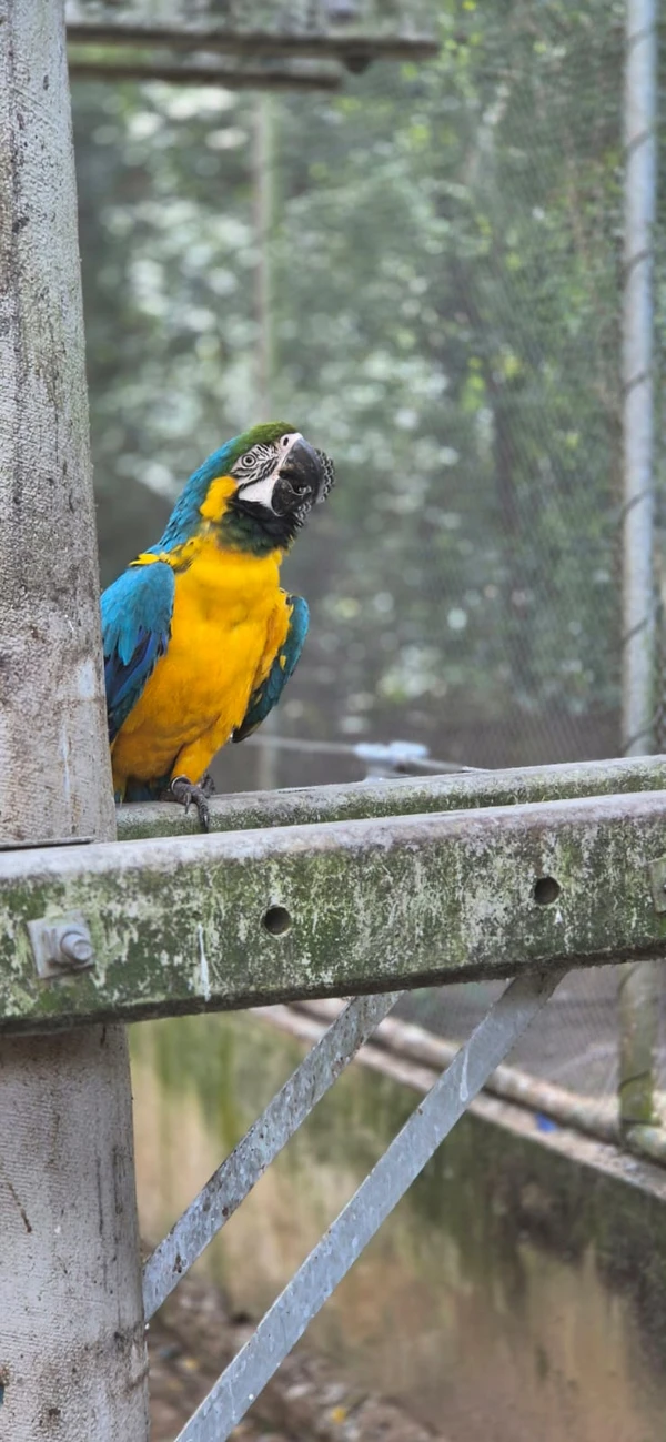 Centro de Triagem de Animais Silvestres (CETAS) por Moysés Suzart
