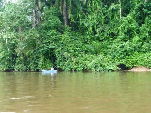 Com clima equatorial, Gabão tem clima e vegetação semelhantes à região amazônica